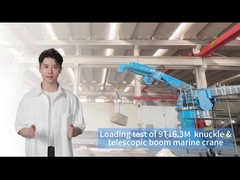 9T16.3M 効率的な貨物処理のための船上クレーン